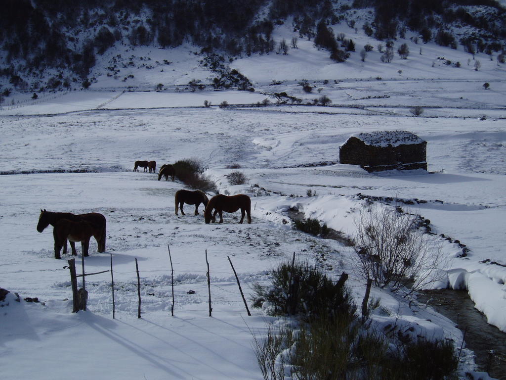 Casa Rural El Llao Y Los Fresnos - El Urogallo Муриас-де-Паредес Экстерьер фото
